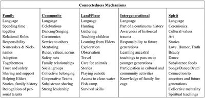 The adaptation process of a safety planning intervention to promote connectedness and reduce distress in Diné adolescents and adults during the COVID-19 pandemic